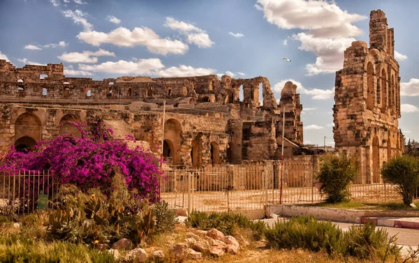 Visa Ruiner Bäst Bevarade Och Största Colosseum Jam Arkitektoniska Ruiner Stockfoto