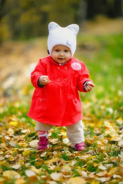 秋天树叶里的孩子迈出了第一步 蓝眼睛的一岁小女孩 穿着红色外套 戴着白色的帽子 迷人的婴儿表现出感情 健康儿童和养育子女的概念 — 图库照片