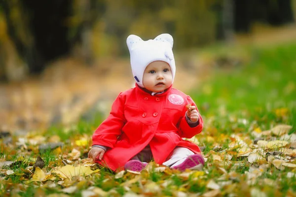 Kind Herfst Gebladerte Neemt Zijn Eerste Stappen Mooi Gelukkig Een — Stockfoto