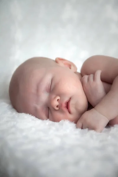Bebê Recém Nascido Dorme Docemente Fundo Claro Retrato Bebê Mês — Fotografia de Stock
