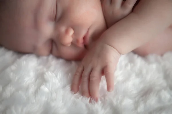 Bebê Recém Nascido Dorme Docemente Fundo Claro Retrato Bebê Mês — Fotografia de Stock