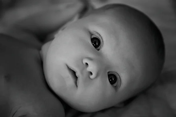 Newborn Baby Light Background Shows Its Emotions Portrait One Month — Stock Photo, Image