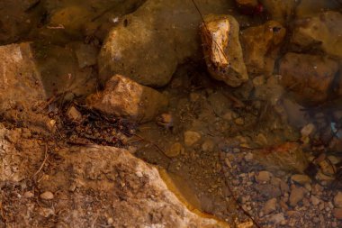 Sahra Çölü 'ndeki Chebika vahasının manzarası. Göldeki kurbağalar. Kuzey Afrika 'daki manzaralı dağ vahası. Yaya olarak Jebel El Negueba 'da bulunuyor. Güneşli bir öğleden sonra Atlas Dağları. Tozeur, Tunus