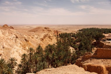 Sahra Çölü 'ndeki Chebika vahasının manzarası. Yerleşim ve avuç içini harap eder. Kuzey Afrika 'daki manzaralı dağ vahası. Yaya olarak Jebel El Negueba 'da bulunuyor. Güneşli bir öğleden sonra Atlas Dağları. Tozeur, Tunus