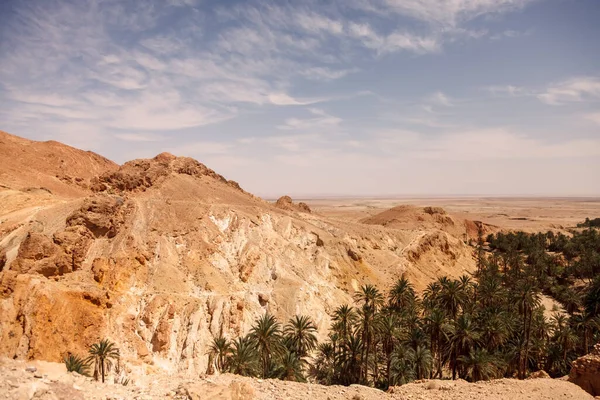 Landscape Chebika Oasis Sahara Desert Ruins Settlement Palm Scenic View — Stock Photo, Image