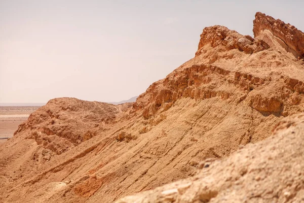 Krajobraz Chebika Oaza Saharze Pustyni Widok Góry Malownicza Oaza Widokowa — Zdjęcie stockowe