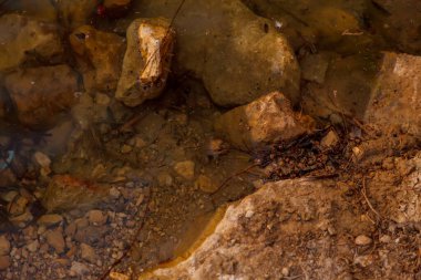 Sahra Çölü 'ndeki Chebika vahasının manzarası. Göldeki kurbağalar. Kuzey Afrika 'daki manzaralı dağ vahası. Yaya olarak Jebel El Negueba 'da bulunuyor. Güneşli bir öğleden sonra Atlas Dağları. Tozeur, Tunus