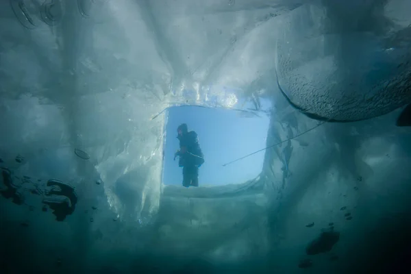 冬に水中でダイビング 氷の下の湖で見る 澄んだ湖の水の下で海洋生物 動物界の観察 ロシアのバイカル湖でスキューバダイビングの冒険 — ストック写真