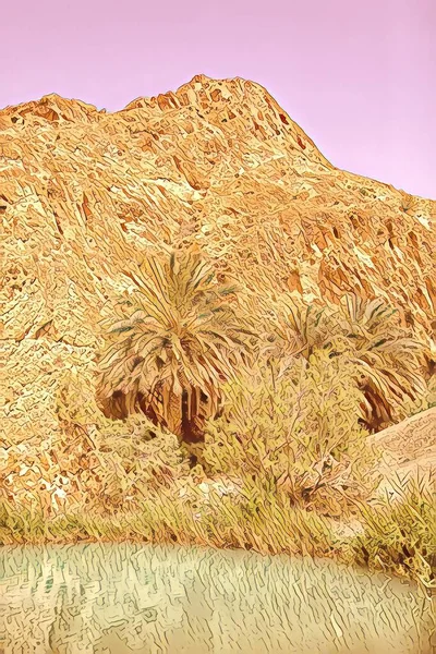 Paesaggio Oasi Chebika Nel Deserto Del Sahara Palme Sul Lago — Foto Stock
