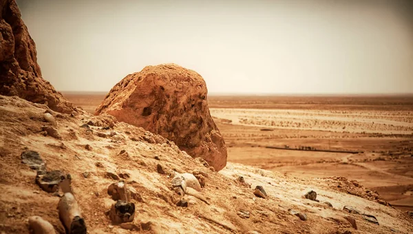 Krajina Chebika Oáza Poušti Sahara Výhled Hory Scénický Pohled Horskou — Stock fotografie