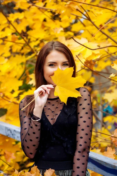 Porträt Einer Hübschen Jungen Frau Slawischen Aussehens Dunklen Herbstkleid Die — Stockfoto