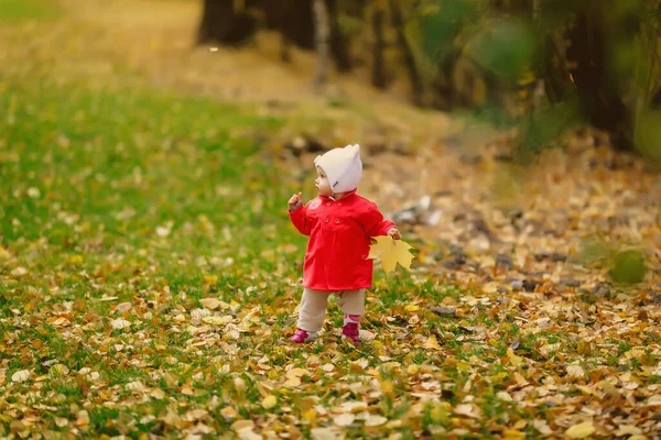 Das Kind Herbstlichen Laub Macht Seine Ersten Schritte Hübsches Glückliches — Stockfoto