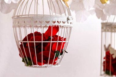 Beyaz duvarda kırmızı güllerle süslenmiş kuş kafesleri. İç dekorasyon harikaymış. Sevgililer Günü 'nde dekorasyon odası ya da salon için kuş kafesinde çiçekler. Mesaj ya da logo var. Boşluğu kopyala