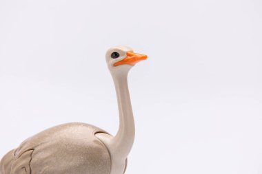 Beyaz arka planda izole edilmiş plastik bir oyuncaktan devekuşunun kafasını kapat.