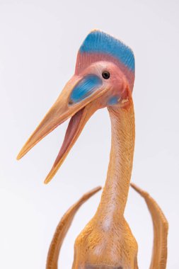 Beyaz arkaplanda izole edilmiş plastik bir pterodactyl renkli heykelciğin yakın plan görüntüsü