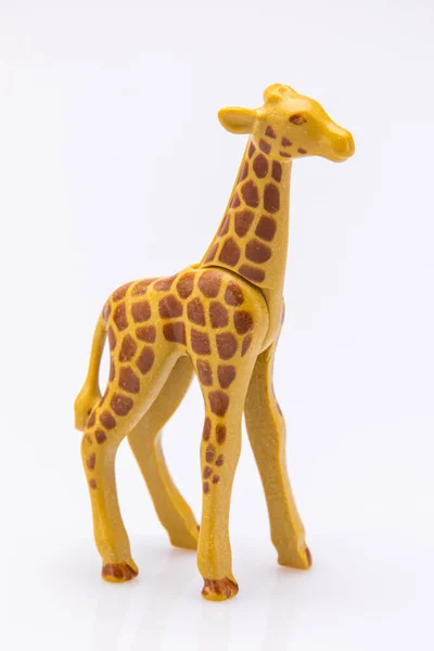 Perto Uma Girafa Brinquedo Plástico Isolado Fundo Branco — Fotografia de Stock