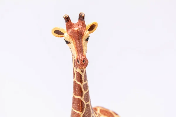 Nahaufnahme Einer Giraffe Aus Einem Plastikspielzeug Isoliert Auf Weißem Hintergrund — Stockfoto