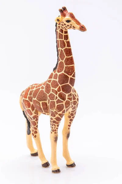 Perto Uma Girafa Brinquedo Plástico Isolado Fundo Branco — Fotografia de Stock