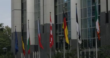  BRÜKSEL, Belçika - 11 Haziran 2020: Avrupa Parlamentosu önünde Avrupa bayrakları