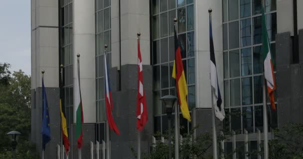 Bruxelas Bélgica Junho 2020 Bandeiras Europeias Vento Frente Parlamento Europeu — Vídeo de Stock