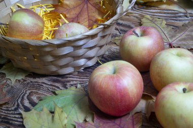 Güzel bir sonbahar arka planı. Ahşap bir arka planda akçaağaç yaprakları. Sepette elmalar.
