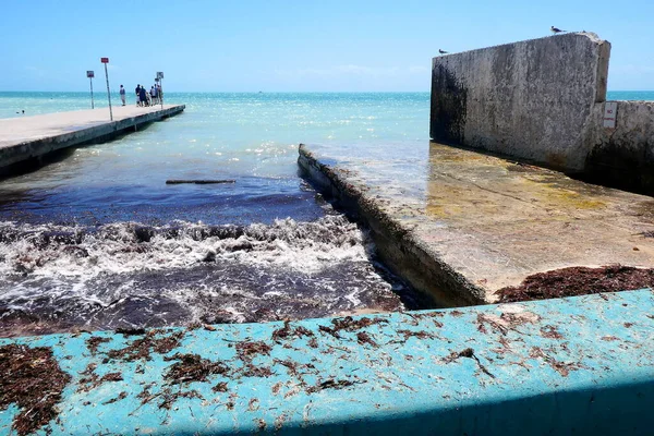 Krásný Přímořský Plášť Slunnou Oblohou Key West Florida — Stock fotografie