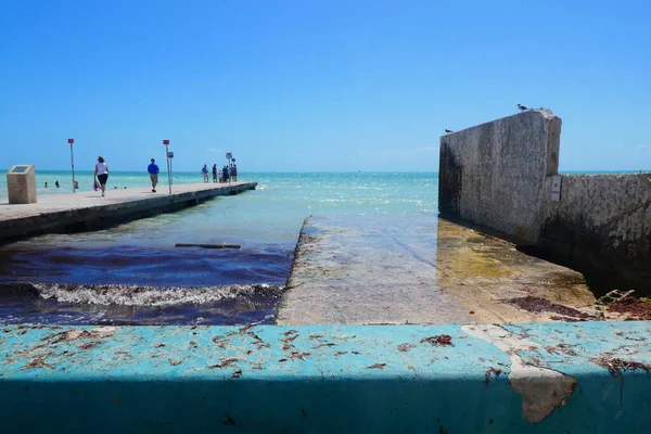 Krásný Přímořský Plášť Slunnou Oblohou Key West Florida — Stock fotografie