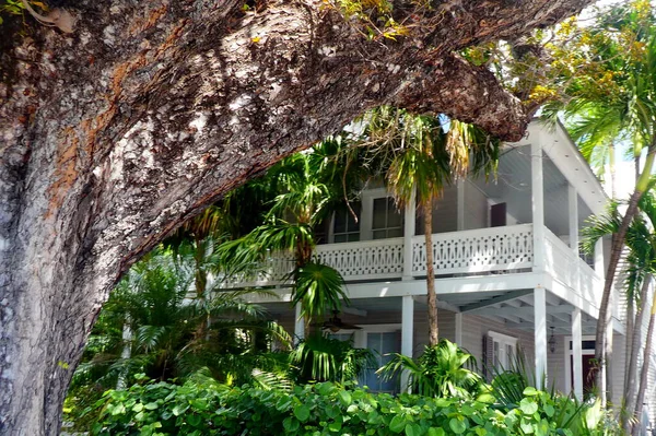 Hermosa Escena Del Barrio Key West Florida — Foto de Stock