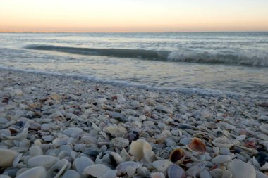 Sanibel Adası, Florida 'da güzel bir gün batımı