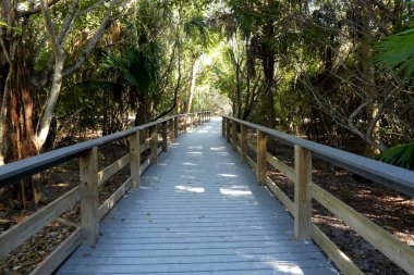 Florida, Sanibel Adası 'ndaki tahta köprü.