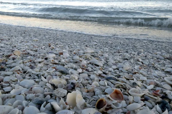 Пляж Пляжі Боманс Острів Санібель Флорида — стокове фото