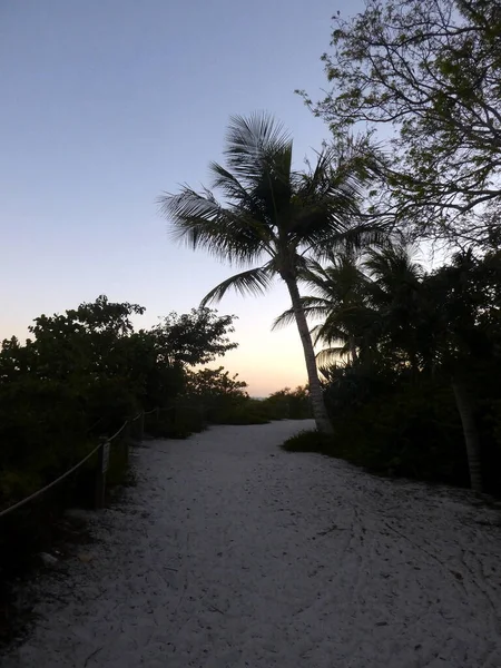 Krásný Západ Slunce Ostrově Sanibel Florida — Stock fotografie
