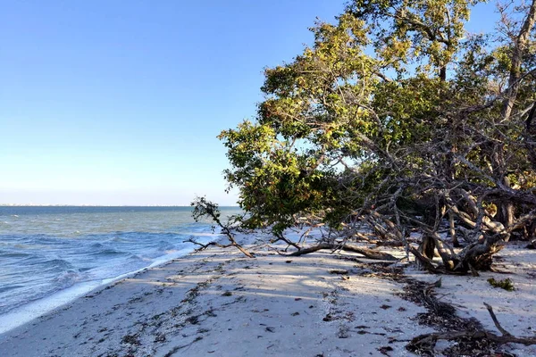 Bela Paisagem Marinha Bowman Beach Ilha Sanibel Flórida — Fotografia de Stock