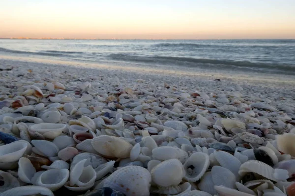 Hermosa Puesta Sol Sanibel Island Florida Imagen De Stock