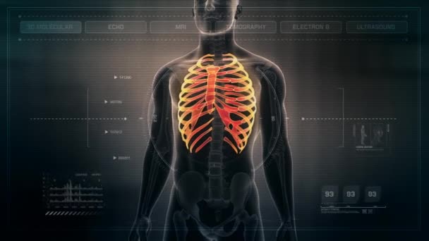 显示男性肋骨的人体解剖学动画 骨骼系统扫描 — 图库视频影像