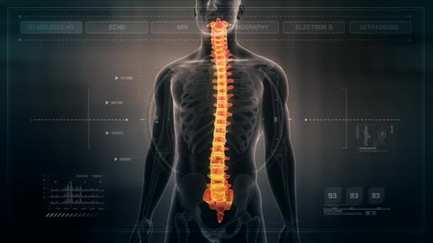 未来医疗界面仪表板上的人体男性脊髓解剖 无缝循环动画 — 图库视频影像