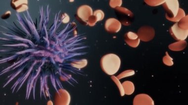 Virüs saldırıları hücrelerin organizma içinde. Hücreler viral dejenerasyon sürecinde mutasyona. Kırmızı kan hücreleri yok virüs animasyon. Bölüm B