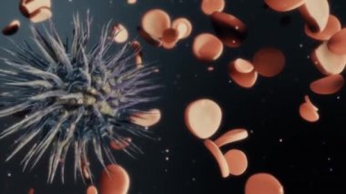 Virüs saldırıları sağlıklı hücrelerin içinde insan organizması. Hücreler viral dejenerasyon sürecinde mutasyona. Animasyon hücreleri yok virüs.