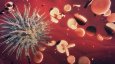 Virüs saldırıları kırmızı kan hücreleri insan kan damarı içinde. Hücreler viral dejenerasyon sürecinde mutasyona. Animasyon hücreleri yok virüs.