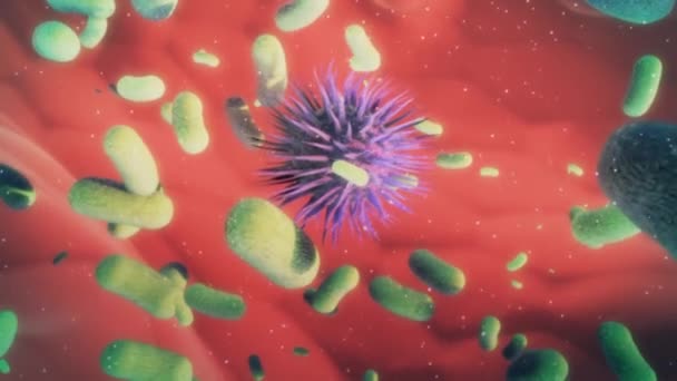 Microbioma Umano Batteri All Interno Dell Intestino Microbi Nell Intestino — Video Stock