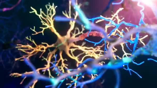 実際ニューロンのシナプス ネットワーク アニメーション 神経細胞間の電気衝動の複数の角度 — ストック動画