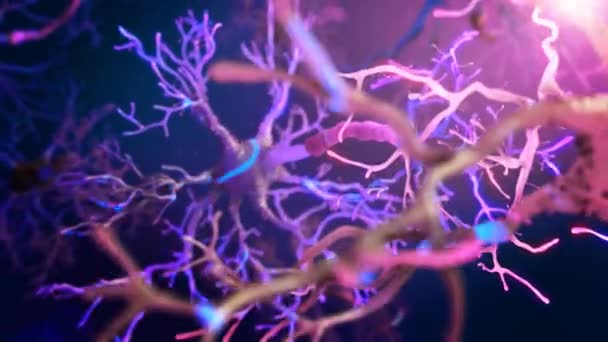 実際紫ニューロンのシナプス ネットワーク アニメーション 神経細胞間の電気衝動の複数の角度 — ストック動画