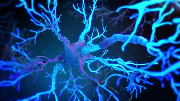 Atividade Rede Sinapse Células Neuronais Dentro Cérebro Com Fluido Sistema — Vídeo de Stock