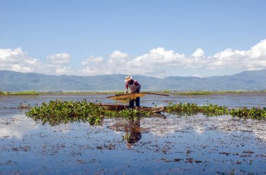 Loktak Gölü imphal Manipur Hindistan 1 Kasım 2018: Loktak Gölü, Manipur 'da yaşlı bir balıkçı balık tutuyor. Loktak Gölü' nde su yatakları büyük miktarlarda yüzüyor.. 