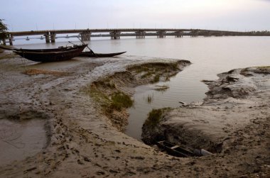 Batı Bengal Hindistan 'da alacakaranlık manzarası