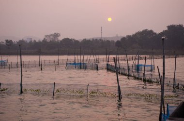 Odisha Hindistan 'da balık ağı deseni ve yansıması