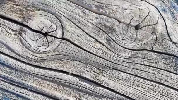 Textuur Van Houten Planken Van Verschillende Afwerkingen Kleuren Geanimeerd Een — Stockvideo