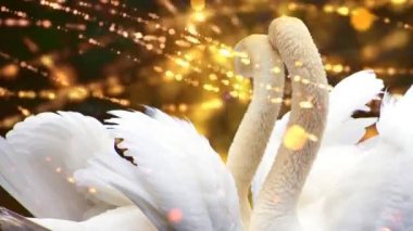 İki beyaz kuğu ışık saçan parçacıklardan oluşan bir akım, ışık saçan parçacıklardan oluşan bir akım. ışık efektleri soyut biçimde hareket eder ve esnek çizgiler. 