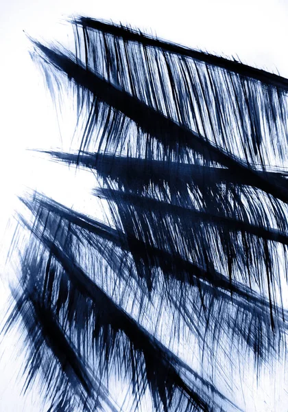 Harmonie Van Hoge Gras Trillingen Wind Abstracte Graphics Voor Decoratie — Stockfoto