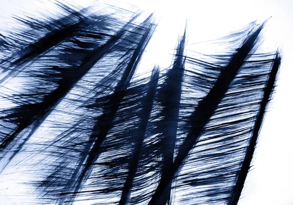 Harmonie Vysokých Travních Vibrací Větru Abstraktní Grafika Pro Dekoraci Tapet — Stock fotografie
